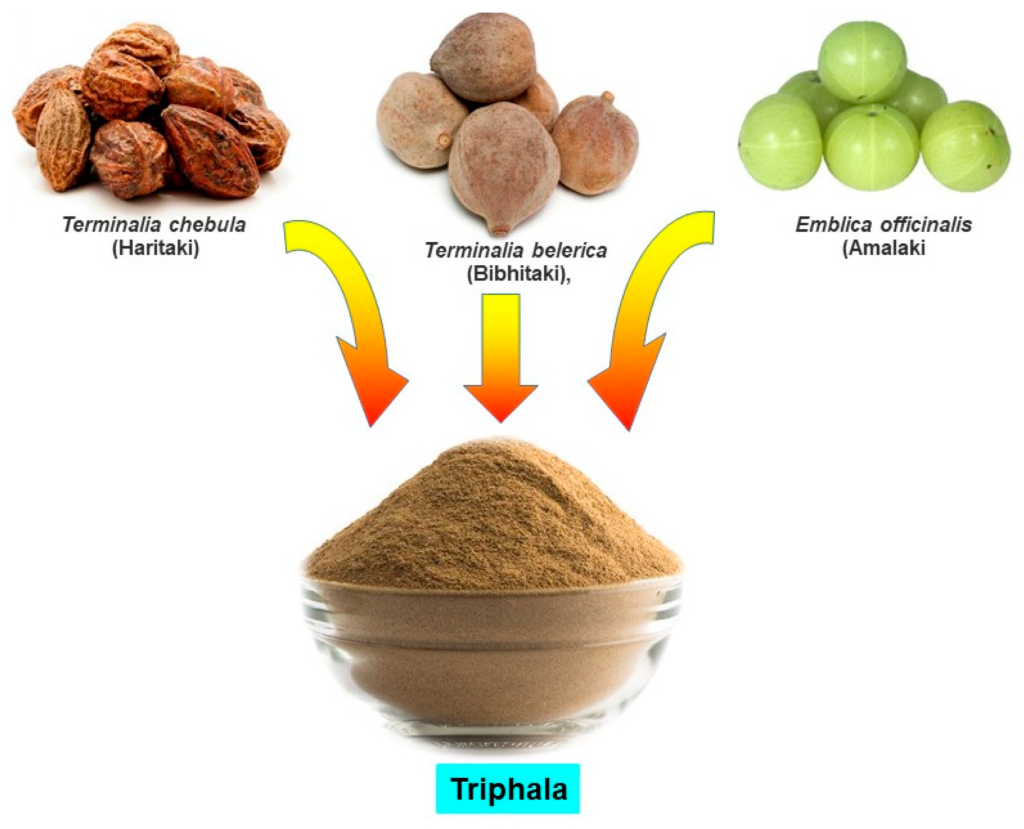 Triphala